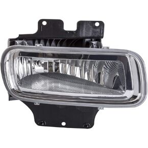 TYC Right Fog Light Assembly Compatible with 2004-2006 Ford F- Series Pickup (Hvy Dty)