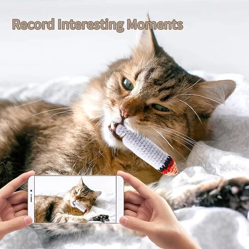 لعبة النعناع البري للقطط المشتركة النعناع البري اليدوية الكروشيه النعناع البري شغل القط كيكر لعبة التسنين مضغ in Kuwait