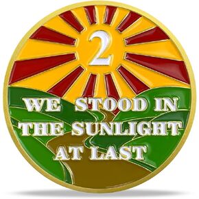 1 Year Sobriety Chip Gold Plated Sunlight AA Medallion Coin Sober Anniversary Token Sobriety Gifts for Men Women in Recovery in Kuwait