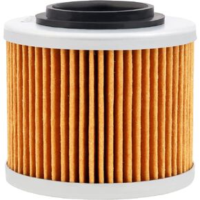 Road Passion High Performance Oil Filter Replacement for BMW F650GS / F650 GS 652 2004-2007 (pack of 1)