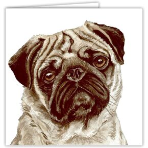 Maturi Pug in Glasses Dog Photographic Blank Birthday Greetings Card, 6" x 6" Square
