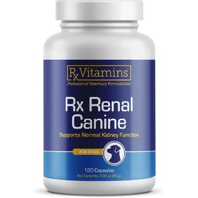 Rx Vitamins Rx Renal Canine Kidney Support for Dogs - Milk Thistle Extract, Green Tea, & Cordyceps Capsules for Dogs - Dog Kidney Support Supplement - 120 ct