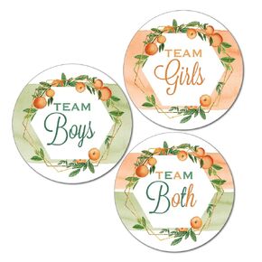 36 2.5 inch Twin Little Cutie Gender Reveal Party Stickers, Clementine Orange Baby Shower - Team Boys Girls Both