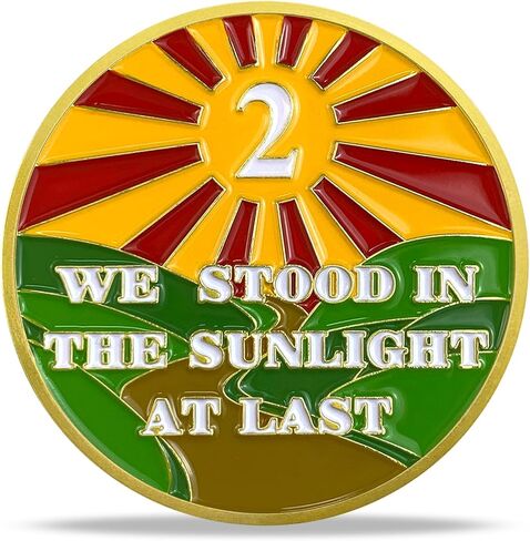 1 Year Sobriety Chip Gold Plated Sunlight AA Medallion Coin Sober Anniversary Token Sobriety Gifts for Men Women in Recovery in Kuwait