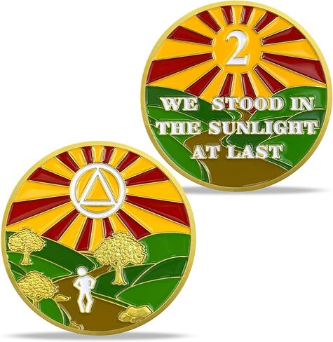 1 Year Sobriety Chip Gold Plated Sunlight AA Medallion Coin Sober Anniversary Token Sobriety Gifts for Men Women in Recovery in Kuwait