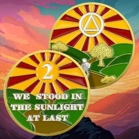 1 Year Sobriety Chip Gold Plated Sunlight AA Medallion Coin Sober Anniversary Token Sobriety Gifts for Men Women in Recovery in Kuwait