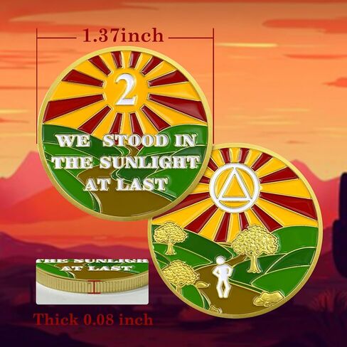 1 Year Sobriety Chip Gold Plated Sunlight AA Medallion Coin Sober Anniversary Token Sobriety Gifts for Men Women in Recovery in Kuwait