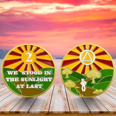1 Year Sobriety Chip Gold Plated Sunlight AA Medallion Coin Sober Anniversary Token Sobriety Gifts for Men Women in Recovery in Kuwait
