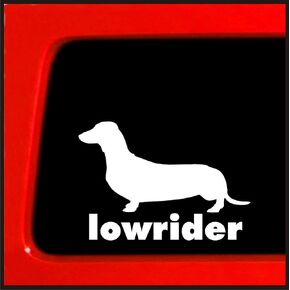 | Dachshund Wiener Dog Lowrider | Bumper Sticker Vinyl Decal for Car, Truck, Window, Laptop | 3.75"x6" (White)