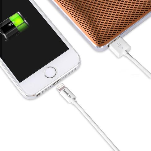 Avantree [Apple MFi Certified 2 Pack iPhone Cable Short, Apple Lightning Cable 1ft for iPhone X, 8, 7, 6s, 6, 6 Plus, 5 iPod iPad, High Speed Data Sync and Charge Cable - White in Saudi Arabia