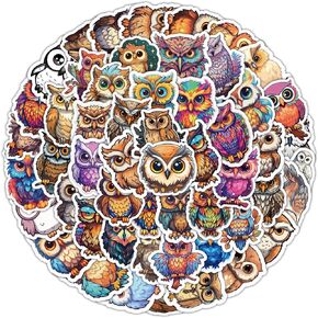 50 قطعة من ملصقات البومة على الجدران، ملصقات منزل البومة، مجموعة ملصقات بومة من الفينيل اللطيفة لزجاجة مياه للكمبيوتر المحمول وأمتعة الدراجة للفتيات والأولاد والمراهقين ومحبي البومة in Kuwait