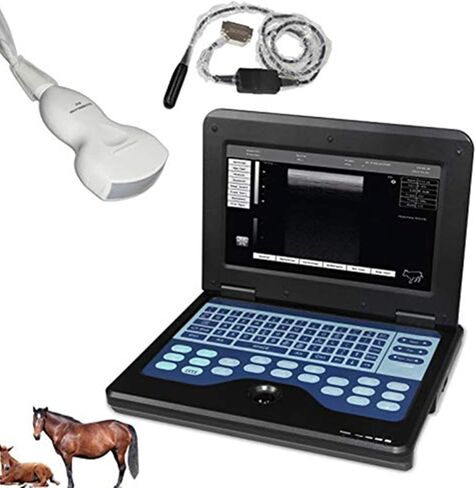 Portable Ultrasound Scanner Veterinary Pregnancy with 3.5 MHz Micro convex Probe for Cat/dog Small Animals in Saudi Arabia