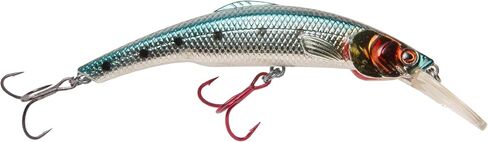 Matzuo Kinchou Minnow Bait in Saudi Arabia
