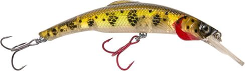 Matzuo Kinchou Minnow Bait in Saudi Arabia