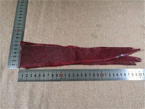 2PCS Genuine Stingray Skin Leather Hide Pelt Strap Natural Rawhide Off-Cuts Strip Dark Red in Saudi Arabia