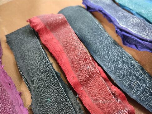 2PCS Genuine Stingray Skin Leather Hide Pelt Strap Natural Rawhide Off-Cuts Strip Dark Red in Saudi Arabia
