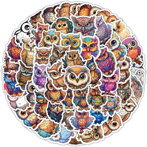 50 قطعة من ملصقات البومة على الجدران، ملصقات منزل البومة، مجموعة ملصقات بومة من الفينيل اللطيفة لزجاجة مياه للكمبيوتر المحمول وأمتعة الدراجة للفتيات والأولاد والمراهقين ومحبي البومة in Kuwait