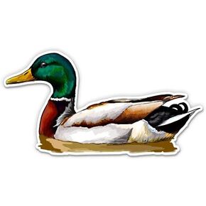 Swimming Mallard Duck - 5" Vinyl Sticker - for Car Laptop I-Pad - Waterproof Decal