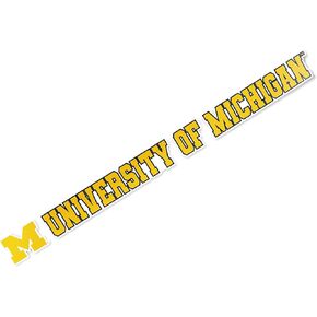 Desert Cactus University of Michigan Sticker Wolverines Go Blue Hail Name Logo Vinyl Decal Laptop Water Bottle Car Scrapbook (15 Inch Sticker)