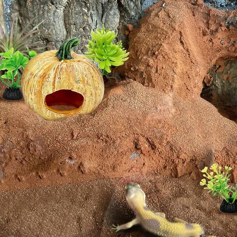 Reptile Hide Fish Tank Decoration Pumpkin with Artificial Aquarium Plants Lizard Snack Gecko Cute Hide Cave in Kuwait