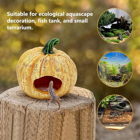 Reptile Hide Fish Tank Decoration Pumpkin with Artificial Aquarium Plants Lizard Snack Gecko Cute Hide Cave in Kuwait