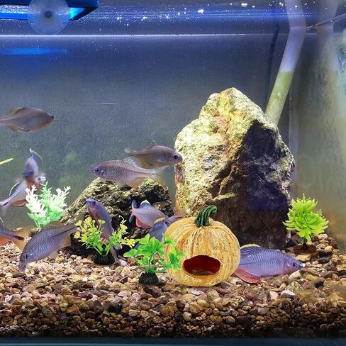 Reptile Hide Fish Tank Decoration Pumpkin with Artificial Aquarium Plants Lizard Snack Gecko Cute Hide Cave in Kuwait