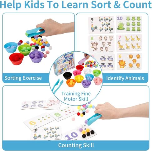 مجموعة 122 قطعة من المهارات الحركية الدقيقة للأطفال - بطاقات عد ألعاب تعلم موضوع الحيوانات، أوعية الفرز، ملاقط، كرات بوم للفرز، العد، التدريب على التعرف in Kuwait