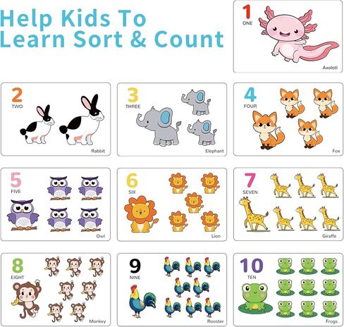 مجموعة 122 قطعة من المهارات الحركية الدقيقة للأطفال - بطاقات عد ألعاب تعلم موضوع الحيوانات، أوعية الفرز، ملاقط، كرات بوم للفرز، العد، التدريب على التعرف in Kuwait