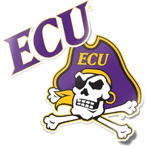 Desert Cactus East Carolina University Pirates ECU Sticker Vinyl Decal Laptop Water Bottle Car Scrapbook (4 Inch Set V1)