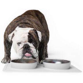Ono Great Bowl Food & Water Double Feeder - Medium to Large Pets No Spill Non Skid Silicone Mat & Stainless Steel Bowls for Dogs or Cats (Charcoal)