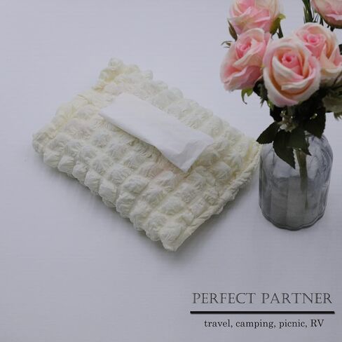 عبوتان من حامل مناديل السيارة، حامل صندوق مناديل بحجم قياسي للمقعد الخلفي للسيارة، حقيبة مناديل معلقة للسفر وحامل مناديل التخييم وحامل ورق المرحاض - أبيض in Kuwait