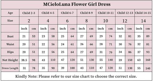 MCieloLuna Lace Applique Long Sleeves Flower Girl Dress for Wedding Birdesmaid Puffy Tulle Birthday First Communion Dress in Saudi Arabia