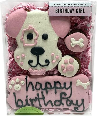 Bubba Rose Biscuit Company: Decorated Feel Better Soon Dog Treats - Crunchy Biscuit - Natural Get Well Gourmet Dog Cookies - Pack of 4 Cookies - Made in The USA in Saudi Arabia