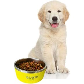 وعاء كلب أبيض سعة 64 أونصة للكلاب المتوسطة والكبيرة، وعاء كلب من الفولاذ المقاوم للصدأ معزول بجدار مزدوج غير قابل للانزلاق يحافظ على برودة الماء (64 أونصة، أبيض) in Kuwait