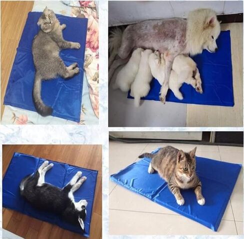 Dog/Cat Cooling Mat, Large Size, Pressure Activated Cooling Mat for Dogs/Cats, No Water, Electricity or Refrigeration Needed, Non-Toxic Dog Cooling Pad, Ideal for Home and Travel in Saudi Arabia