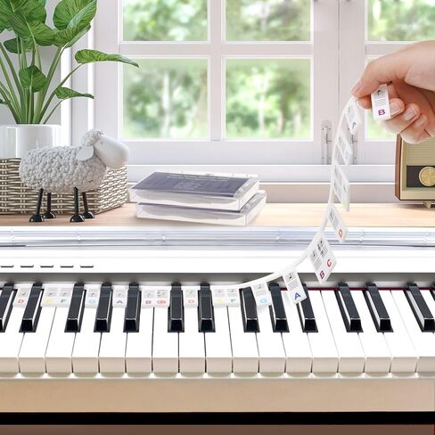 2 حزمة دليل ملاحظات البيانو للمبتدئين، ملصقات ملاحظات لوحة مفاتيح البيانو قابلة للإزالة، 61/88 مفتاح كامل الحجم ملصقات لوحة مفاتيح البيانو، دليل لوحة مفاتيح البيانو السيليكون مع صندوق (أسود وملون) in Kuwait