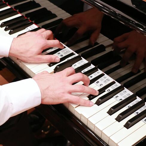 2 حزمة دليل ملاحظات البيانو للمبتدئين، ملصقات ملاحظات لوحة مفاتيح البيانو قابلة للإزالة، 61/88 مفتاح كامل الحجم ملصقات لوحة مفاتيح البيانو، دليل لوحة مفاتيح البيانو السيليكون مع صندوق (أسود وملون) in Kuwait