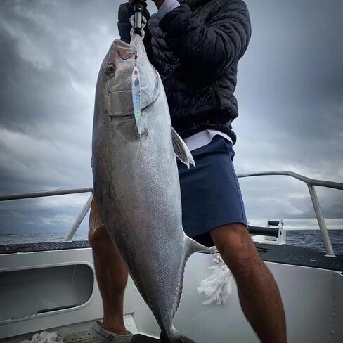 أدوات صيد الأسماك في المياه المالحة، 7.1 أونصة (200 جم) أدوات دوارة حقيقية ذات سرعة سريعة وملعقة لصيد الأسماك البحرية للتونة والسلمون وسمك أبو شراع وسمك النهاش وسمك الكنعد in Kuwait