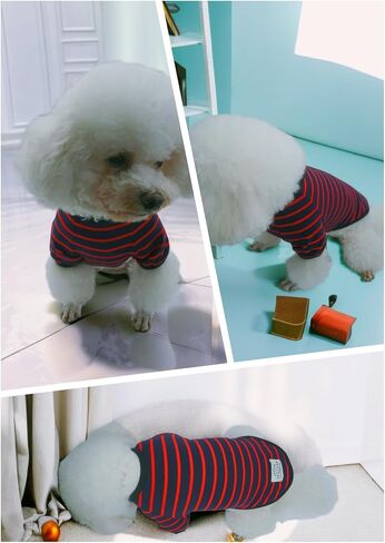 Dog Shirt Light Elastic Soft Comfortable Breathable Cotton Pet Apparel Safe Care for Small Medium Dogs & Cats Stylish Wide Striped Design for Puppies Ideal for Everyday Wear L/Blue-red in Saudi Arabia