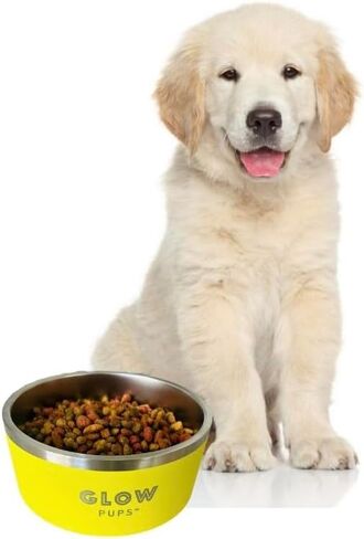 Black Dog Bowl, Double Wall Stainless Steel Pet Bowl, Vacuum Insulated Pet Feeder, Non-Skid Pet Bowl, 32 oz in Kuwait