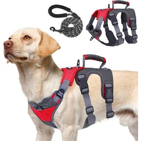 PUPTECK Escape Proof Dog Harness and Leash Set Upgraded No Pull Reflective Dog Vest with Lift Handle, Easy Control Pet Harness for Medium Large Dogs Training Walking Running