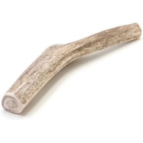 Spizzles Deer Antler Dog Chew Solid - عظم طويل الأمد للمضغ العدواني - طبيعي بالكامل، بدون رائحة، بدون فوضى، بدون مواد حافظة، الولايات المتحدة الأمريكية، متوسط ​​- 5 بوصة