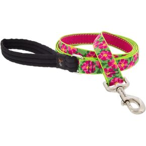 Lupine Dog Leash 4-Foot by 1" Wide PetuniasÊ