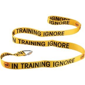 Funny Dog Leash Have in Training Ignore Dog Leash Walking Training Dog Leashes Owner Pet Lover Gift (in Training Ignore-YE)