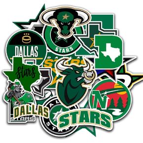 25 PCS Dallas American Stars Hockey Stickers for Water Bottle, Laptop, Bicycle, Computer, Motorcycle, Travel Case, Car Decal Decoration Sticker