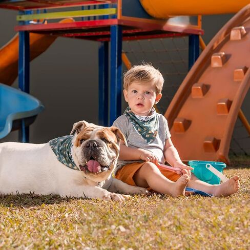 Double-Sided Bandana for Dogs and Cats King (Medium) in Saudi Arabia