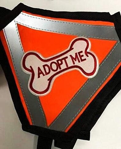 سترة Adopt ME مع رقعة مطرزة على شكل عظمة كلب، سترة على الجانب الأيسر والأيمن (كبير) in Saudi Arabia
