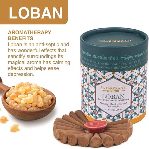 Dry Dhoop Incense Cones Loban with Warm Note (Pack of 2) (Charcoal Free) in Saudi Arabia