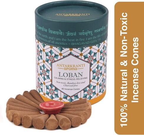 Dry Dhoop Incense Cones Loban with Warm Note (Pack of 2) (Charcoal Free) in Saudi Arabia