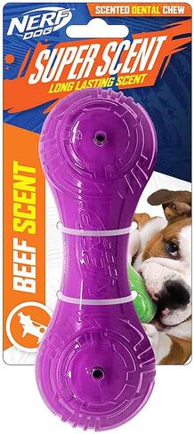 Nerf Dog 7in TPR/PP Scented Beef SuperScent Barbell Solid Core - شفاف/أرجواني، صغير (NF-7131) in Saudi Arabia